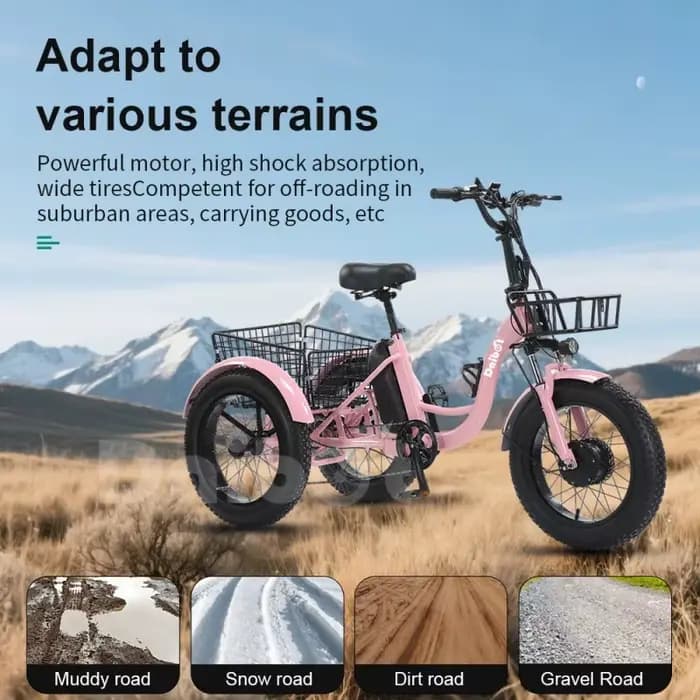 Tricycle électrique à trois roues pour adultes