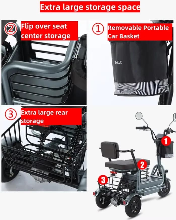 Scooter électrique à 3 roues 800W 48V