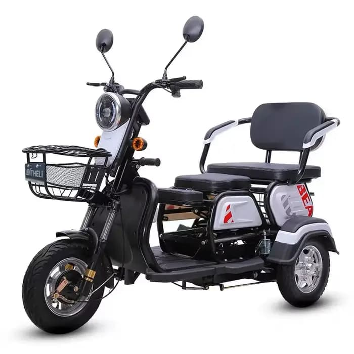 Trottinette de mobilité à 3 roues pour personnes âgées 800W 60V 30AH Parents enfants Tricycles électriques pour femmes 2 sièges adultes avec siège réglable